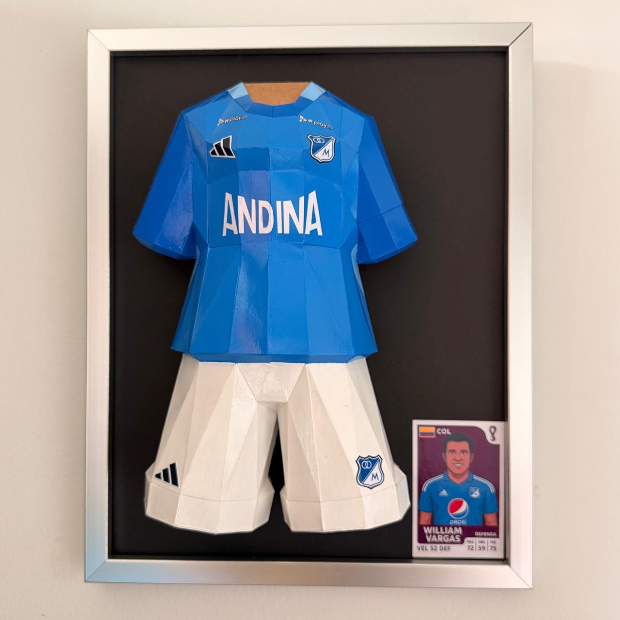 Camisa Fútbol