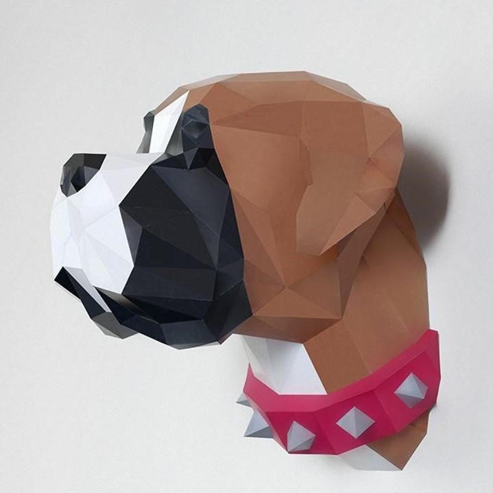 Perro Boxer