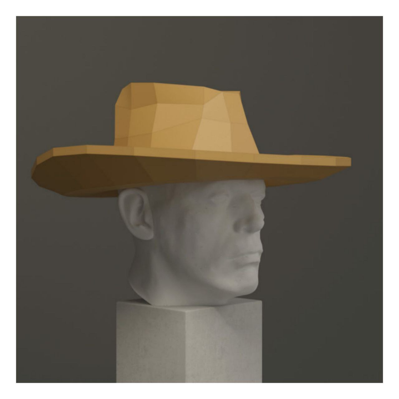 Sombrero Cowboy